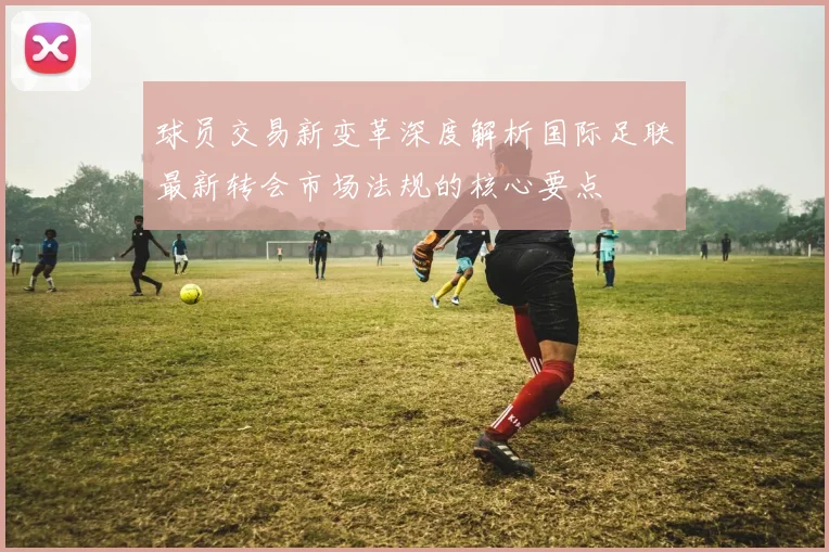 球员交易新变革深度解析国际足联最新转会市场法规的核心要点