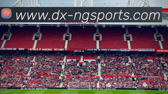 NG体育平台生态图