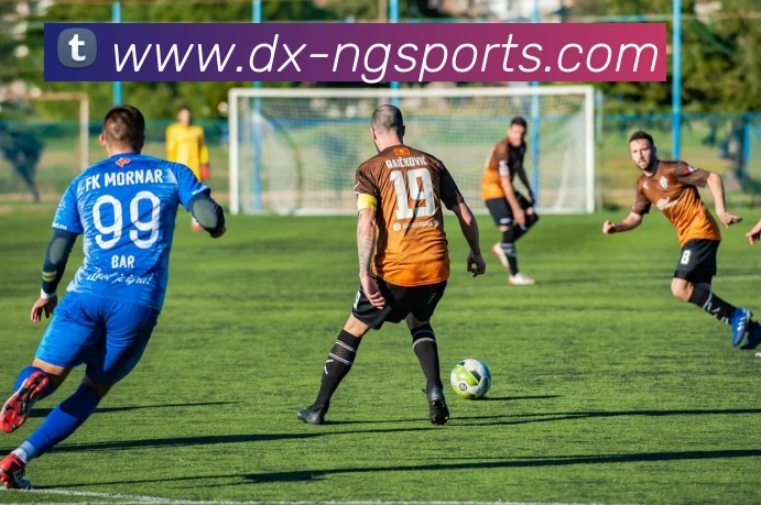 NG体育APP 封面图